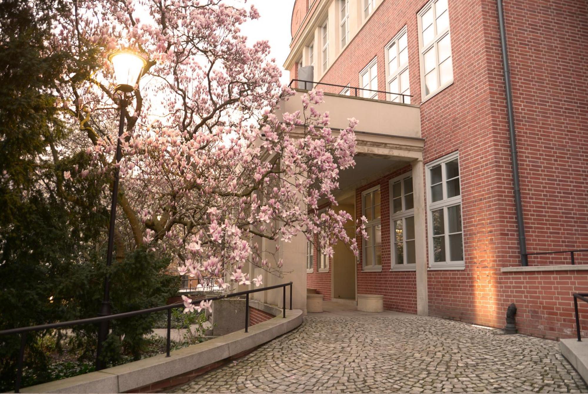 Rooms In Historic Heart Of Wrocław Exterior foto